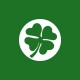 Shirt Irlande parodie la Lanterne Verte vert pour homme et femme