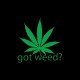 Shirt marijuana Got Weed ? noir pour homme et femme