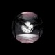 Shirt Vinyl Clair de lune noir pour homme et femme
