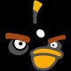 Shirt humoristique Angry Birds noir pour homme et femme