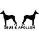 Shirt Zeus & Apollon - Magnum blanc pour homme et femme