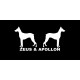 Shirt Zeus & Apollon Magnum noir pour homme et femme