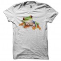 Shirt Grenouille arboricole colorée blanc pour homme et femme