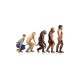 Shirt Dumb & Dumber évolution homo sapiens blanc pour homme et femme
