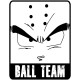 Shirt ball team parodie dragon ball gris pour homme et femme
