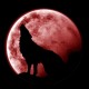 Shirt Bloody Moon noir pour homme et femme