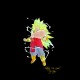 Tee-Shirt Broly super sayan 3 noir pour homme et femme