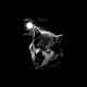 Shirt Cabal loup en trame noir pour homme et femme