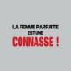 Shirt La femme parfaite est une gris pour homme et femme
