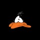 Shirt Daffy Duck perplexe noir pour homme et femme