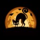 Shirt Halloween Cat noir pour homme et femme