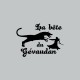 Shirt La bête du Gévaudan gris pour homme et femme