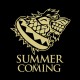 Shirt trone de fer summer is coming humoristique noir pour homme et femme