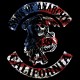 Shirt sons of anarchy rare drapeau americain noir pour homme et femme
