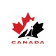 Shirt Hockey Canada blanc pour homme et femme
