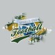 Shirt World Cup Brazil foot 2014 gris pour homme et femme