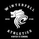 Shirt winterfell athletics winter is coming noir pour homme et femme