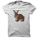 Shirt Rabbit tiger blanc pour homme et femme