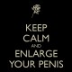 Shirt keep calm and enlarge your penis noir pour homme et femme