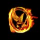 Shirt hunger game noir pour homme et femme