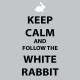 Shirt gris keep calm amd follow the white rabbit pour homme et femme