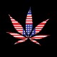 Shirt marijuana couleur drapeau americain en noir pour homme et femme