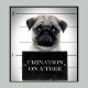 Shirt pug life urinage interdit gris pour homme et femme