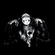 Shirt monkey singing noir pour homme et femme