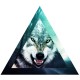 Shirt du loup blanc pour homme et femme