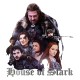 Shirt game of thrones house of stark blanc pour homme et femme
