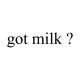 Shirt got milk blanc pour homme et femme