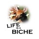 Shirt Life is a biche - blanc pour homme et femme