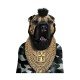 Shirt Famous Faces Cat Mr T blanc pour homme et femme