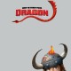 Shirt how to train your dragon pour homme et femme