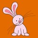 Shirt lapin rose original cartoon orange pour homme et femme
