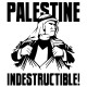 Shirt palestine indestructible blanc pour homme et femme