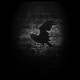 Shirt nevermore noir pour homme et femme