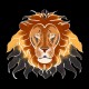 Shirt lion artistique noir pour homme et femme