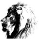 Shirt lion de profil blanc pour homme et femme