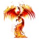 Shirt Phoenix blanc pour homme et femme