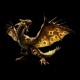 Shirt dargon d or noir pour homme et femme