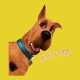 Shirt Scooby Doo jaune pour homme et femme