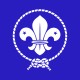 Shirt scout logo bleu pour homme et femme
