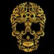 Shirt ornamental skull noir pour homme et femme
