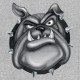 Shirt bulldog gris pour homme et femme