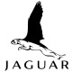 Shirt Jaguar blanc pour homme et femme