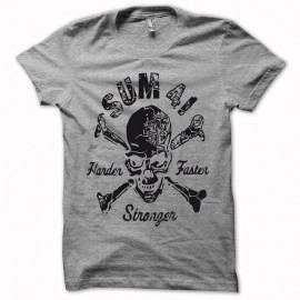 Shirt SUM 41 gris pour homme et femme