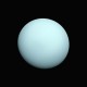 Shirt astronomie Planète Uranus noir pour homme et femme