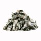 Shirt pile de billets dollars blanc pour homme et femme