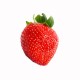 Shirt la fraise blanc pour homme et femme